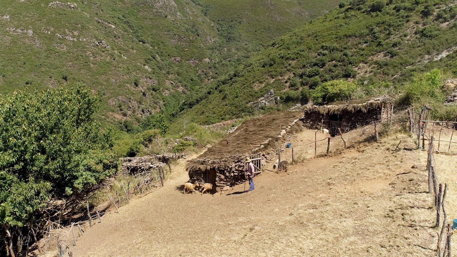 El último de Arganeo
